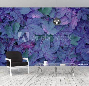 Picture of Beautiful purple colored autumn season maple leaves background